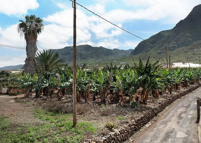 Casa El Cardon A2 Buenavista Del Norte